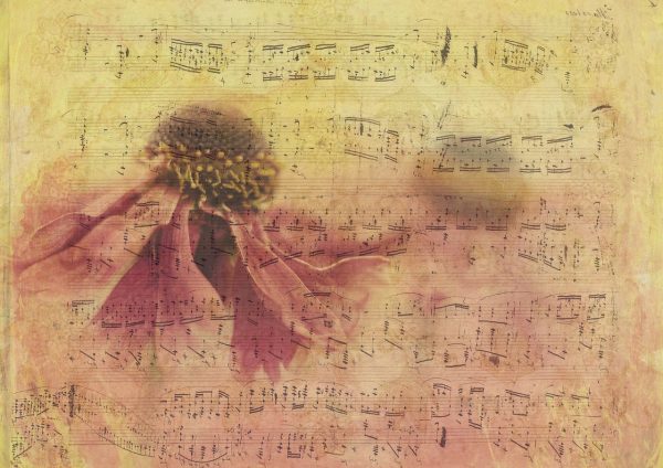 Navigating the Day Dementia Series